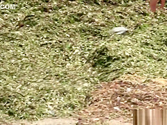 Nudist Milfs Sexy and Horny Tanning Nude At The Beach