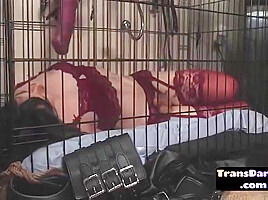 Stockings Tgirl Sucking And Barebacked In Bdsm Trio